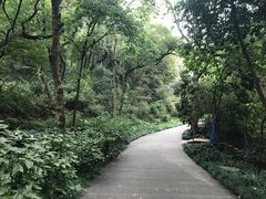 -杭州少年儿童公园