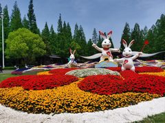 -东平国家森林公园