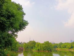 -海珠湖公园