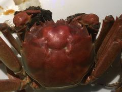 -甄品麦哲伦海鲜和牛自助(万达广场店)
