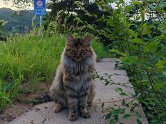 -北京西山国家森林公园