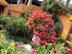 -园林美食城·本土农家菜(杨和镇店)