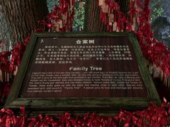 -乌镇西栅景区-月老庙