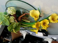 android_upload_pic-蔓兰家的四季S0餐厅·融合菜(当代MOMA店)