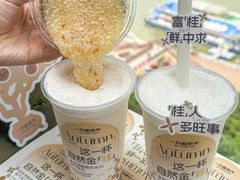 -一只酸奶牛(八一路店)