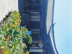 -朱家花园