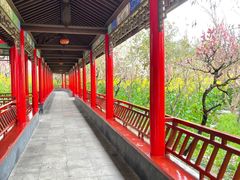 -南汇桃花村