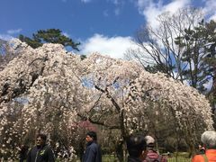 -京都御所