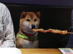 -本色.小马哥烧烤(五一路总店)