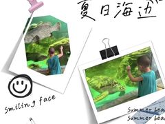 -广东惠东海龟国家级自然保护区