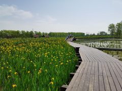 -永定河休闲森林公园