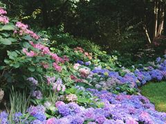-杭州植物园