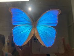 -上海昆虫博物馆