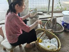 -马陆小张葡萄园农家乐