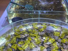 -聚盛源蒸汽海鲜火锅烤肉自助(巨川金海岸购物广场店)