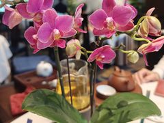 -龙悦湾酒家·八阵鱼生·渔人码头店