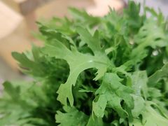 -宴全牛粤来越牛潮汕鲜牛肉火锅(海州万达广场店)
