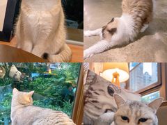 -咖法森林·咖啡  酒吧(天河店)