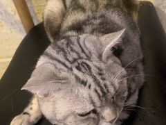 -平行世界·猫咖(首经贸店)