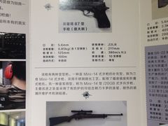 -真枪会射击俱乐部(河西中央公园店)