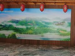 -雁南飞茶田景区