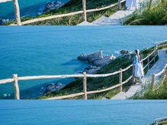 -西涌国际滨海旅游区