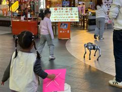-枫蓝国际购物中心