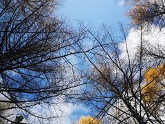 -阿尔山市大兴安岭奥伦布坎景区