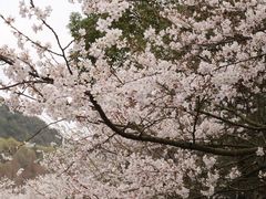 -杭州少年儿童公园