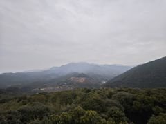 -大余丫山旅游度假区