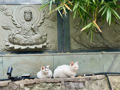 -东钱湖小普陀景区