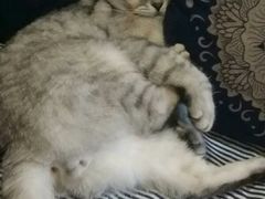-不舍昼夜咖啡馆
