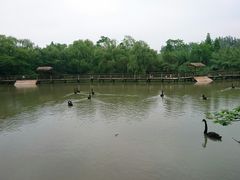 -溱湖国家湿地公园