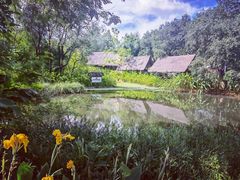 -大象粑粑造纸公园