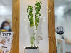-呷贺盐酥鸡(抄纸巷店)