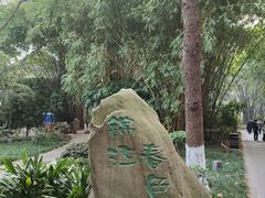 -望江楼公园