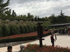 -中国西峡恐龙遗迹园