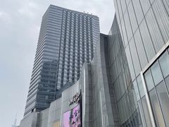 -金茂览秀城