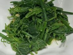清炒丝瓜尖-燕喜堂·中华老字号(大明湖店)