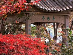 -东湖景区
