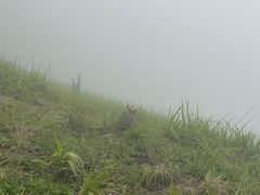 -萍乡武功山风景名胜区