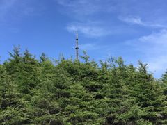 -白草畔自然风景区