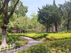 -阅江楼风景区