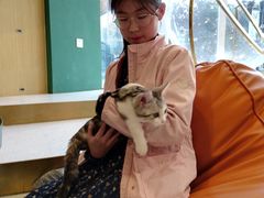 -飞行喵MR PILOT|猫舍·猫咖(静安大融城店)