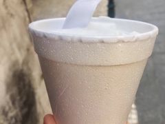 -洪馨椰子
