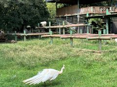 -昆明动物园
