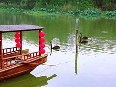 -长兴太湖图影湿地文化园