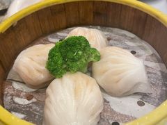 -香港新曜记茶餐厅(星耀城店)