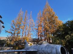 -枫泾古镇-人民公社旧址