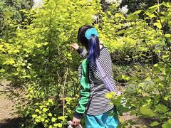 -黑龙江省森林植物园